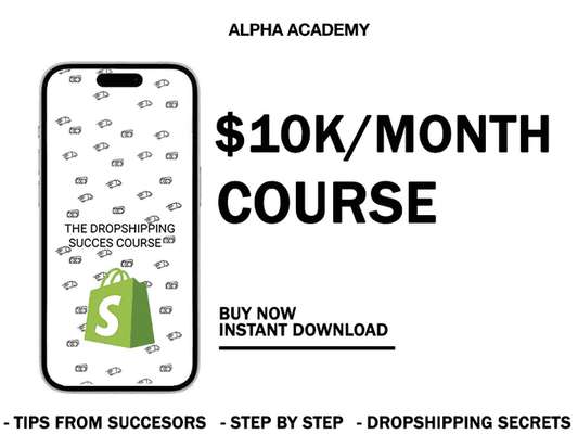 The Dropshipping Succes Course